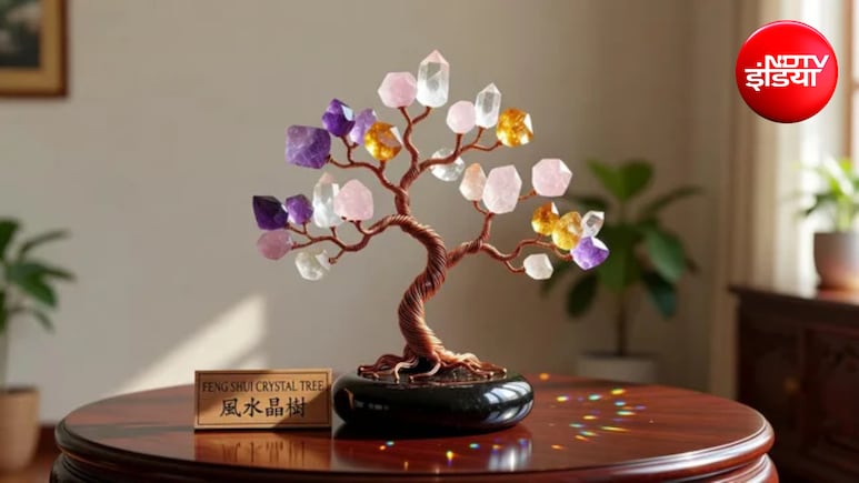 Feng Shui Tips: घर की इस दिशा में रखें Crystal Tree, धन-दौलत और तरक्की के खुल सकते हैं रास्ते