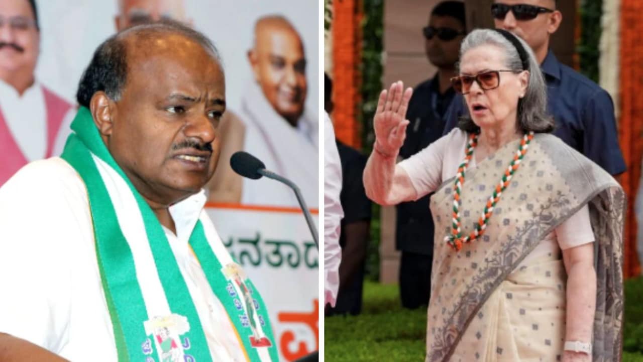 Minister's "Italian Blood" Attack On Sonia Gandhi, Congress Hits Back