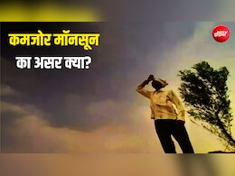 मॉनसून क्यों है असली 'वित्त मंत्री'? कमजोर बारिश कैसे बिगाड़ सकती है आपकी जेब का बजट