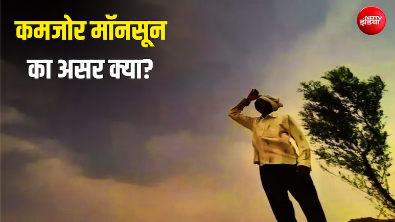 मॉनसून क्यों है असली 'वित्त मंत्री'? कमजोर बारिश कैसे बिगाड़ सकती है आपकी जेब का बजट