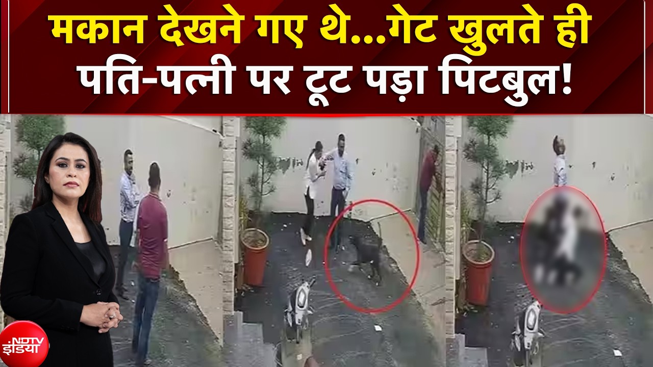Video : मकान देखने गए दंपति पर टूट पड़ा Pitbull, डंडे से भी नहीं रुका कुत्ता!