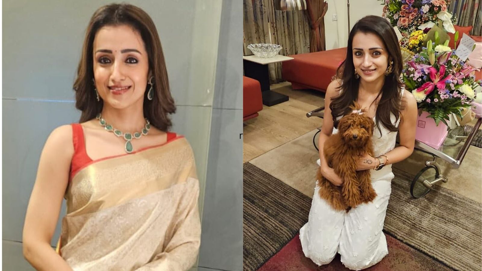 Trisha Krishnan's Rs 85 Crore Net Worth: Rs 10 Crore Chennai Home, Film Fees And Luxury Cars