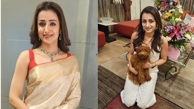 Trisha Krishnan's Rs 85 Crore Net Worth: Rs 10 Crore Chennai Home, Film Fees And Luxury Cars