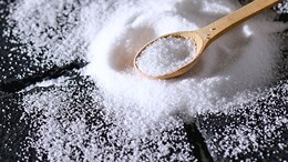 Which State Is Known As The Salt Capital Of India?