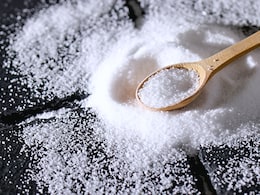Which State Is Known As The Salt Capital Of India?