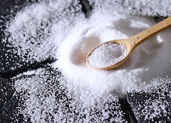 Which State Is Known As The Salt Capital Of India?