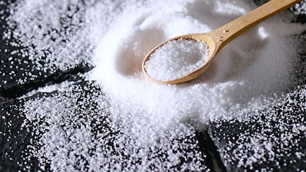 Which State Is Known As The Salt Capital Of India?