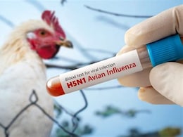 H5N1 Bird Flu Checklist: Early Symptoms, Who Is At Risk, And Safety Tips To Follow