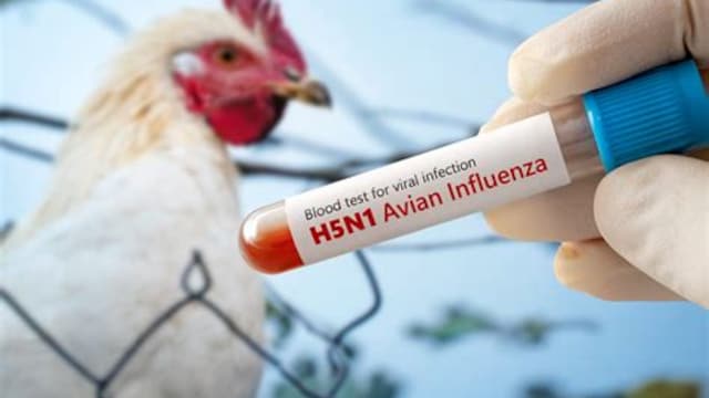 H5N1 bird flu can present itself with symptoms that need medical attention