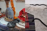नागपंचमी पर श&zwj;िवल&zwj;िंग में ल&zwj;िपटा रहा नाग-नाग&zwj;िन का जोड़ा, दर्शन के ल&zwj;िए पहुंचे भक्&zwj;त