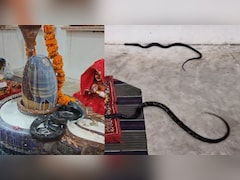 नागपंचमी पर श‍िवल‍िंग में ल‍िपटा रहा नाग-नाग‍िन का जोड़ा, दर्शन के ल‍िए पहुंचे भक्‍त 