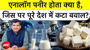 कहीं आप एनालॉग पनीर तो नहीं खा रहे? क्या होता है एनालॉग पनीर?