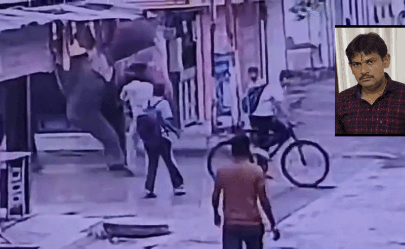 हाथी को सशर्त जमानत, मालिक-महावत जेल में! ऑटो चालक की मौत मामले में कोर्ट का बड़ा फैसला