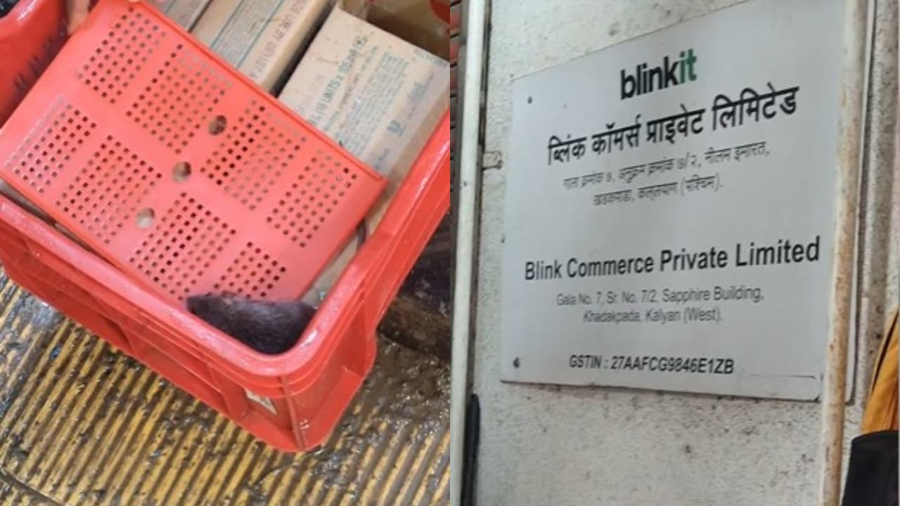 After Cockroaches In Mumbai, Rat Found In Blinkit Ice Cream Freezer In Thane