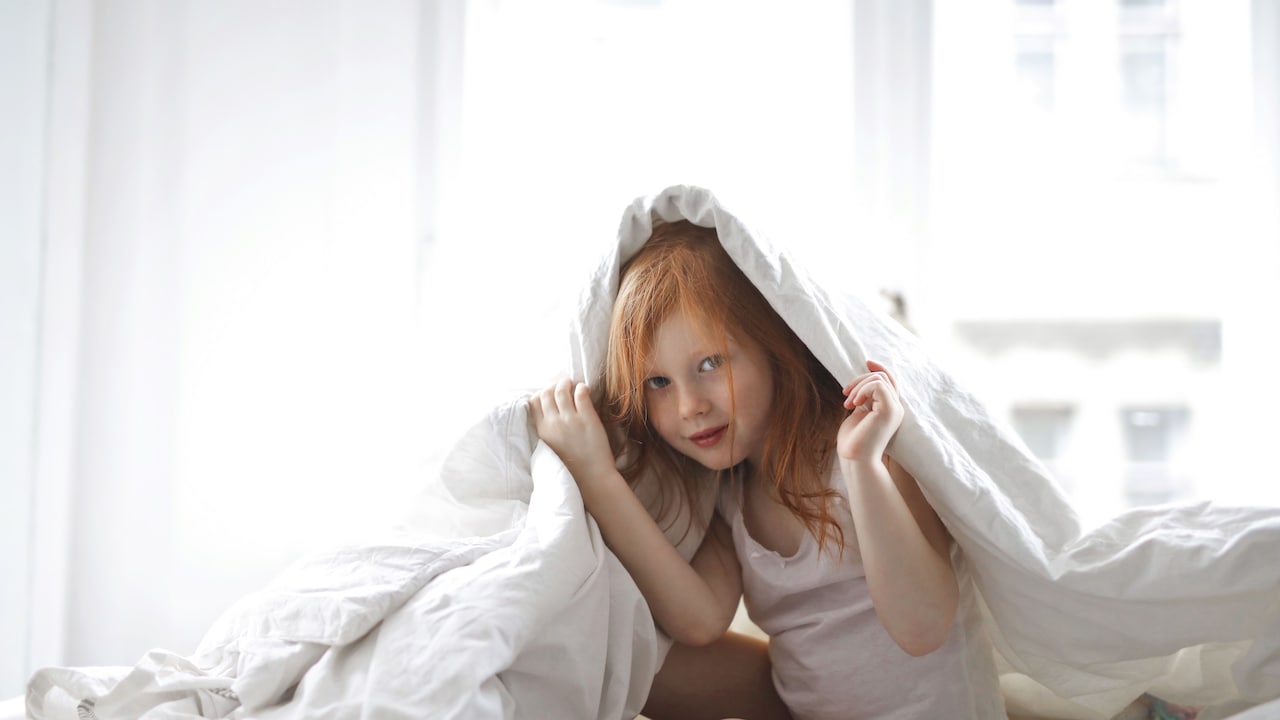 Can Every Comforter Be Machine-Washed Safely? 10 Bedding-Care Myths Explained