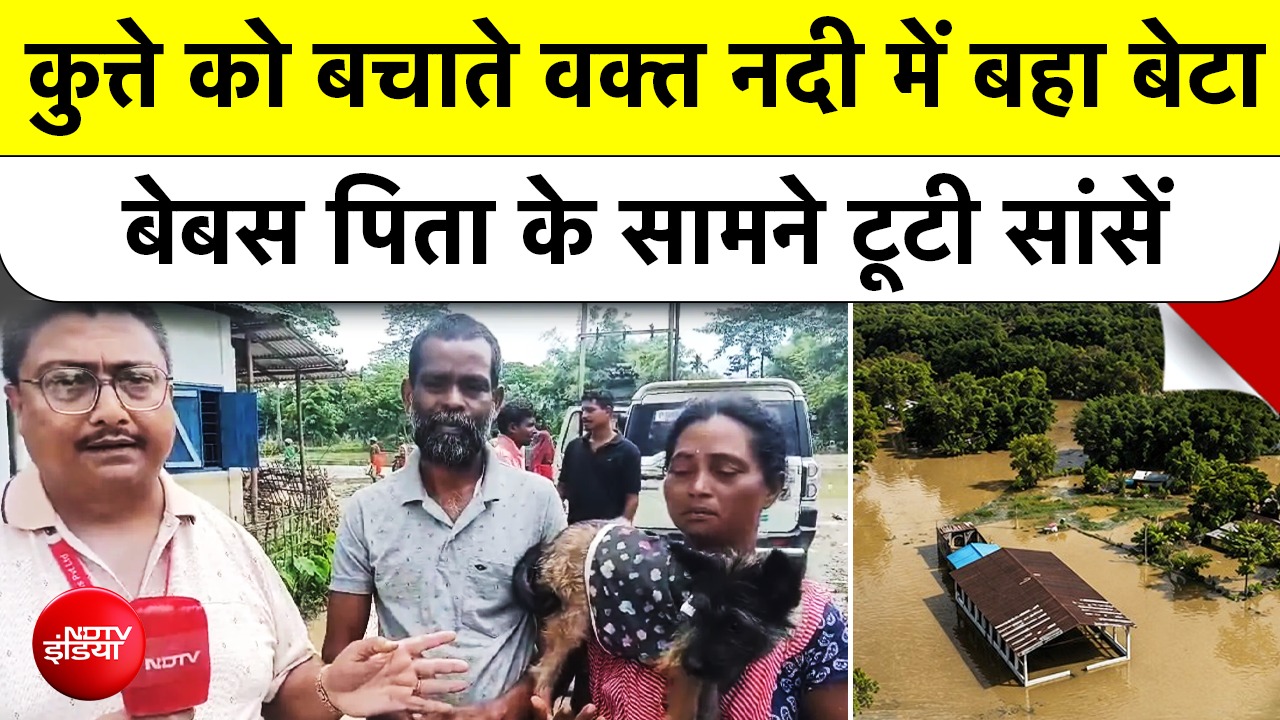 Assam Flood Tragedy: असम में पालतू कुत्ते को बचाते वक्त नदी में बहा इकलौता बेटा, बेबस पिता के सामने टूटी सांसें