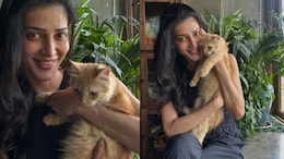 'Heartbreaking': Shruti Haasan Puts Beloved Persian Kitten Up For Adoption After Severe Allergies