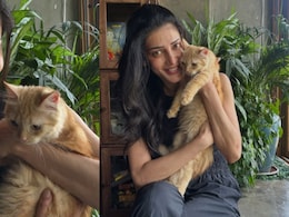 'Heartbreaking': Shruti Haasan Puts Beloved Persian Kitten Up For Adoption After Severe Allergies