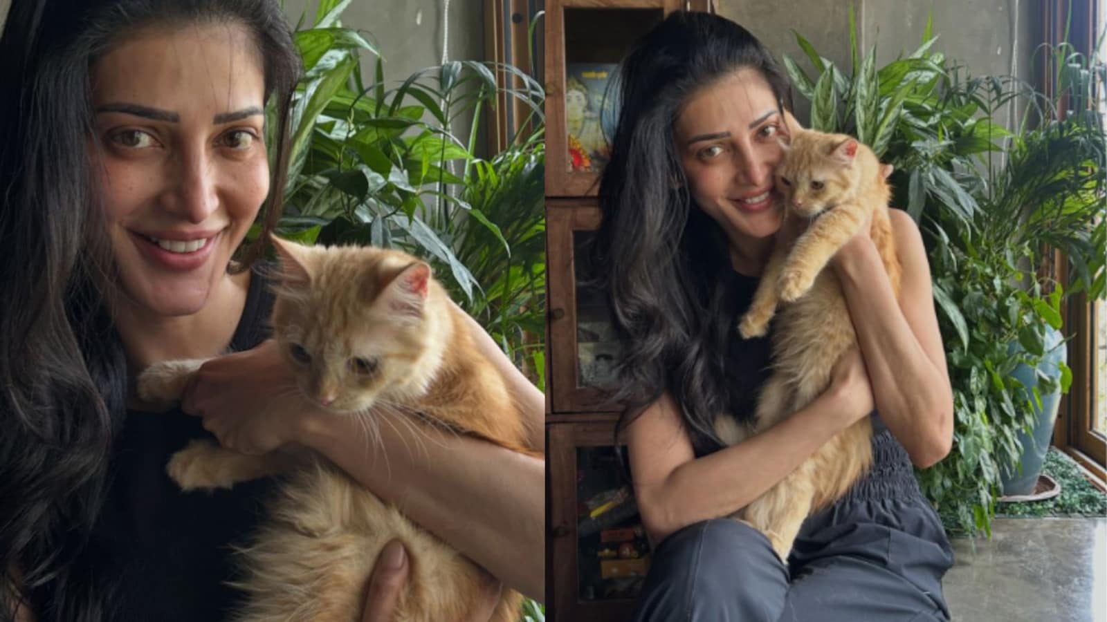 Shruti Haasan Rehomes Adopted Persian Cat Due to Severe Allergies