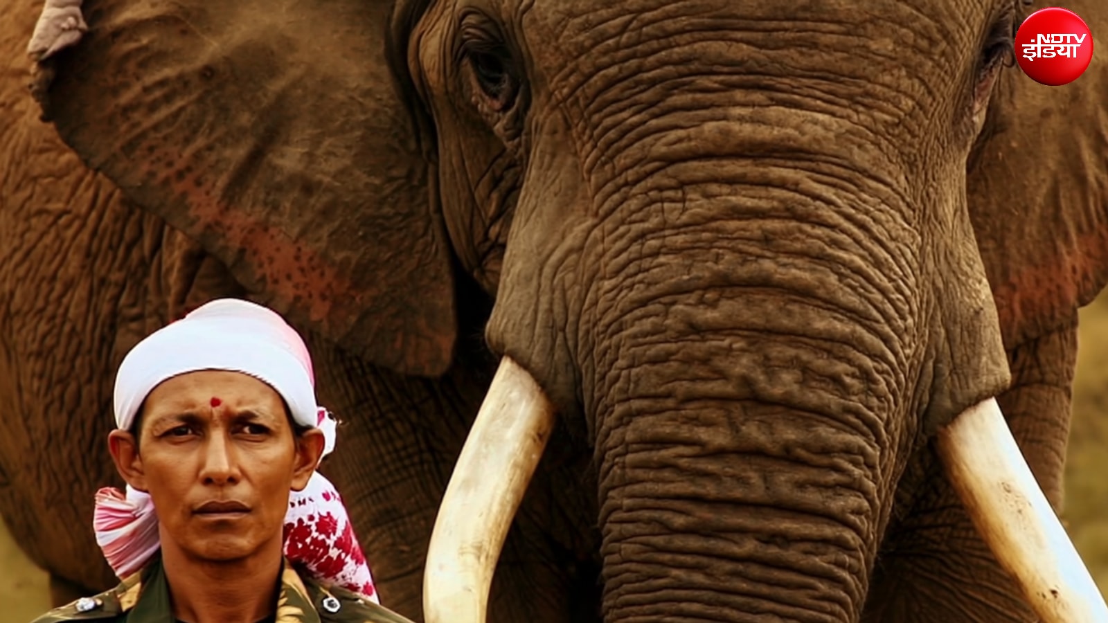 Parbati-Barua-Padma-Shri-First-Female-Mahout.jpg Parbati-Barua-Padma-Shri-First-Female-Mahout.jpg