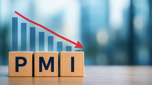 India Services PMI Falls To Four-Year Low In July As New Business Growth Slows
