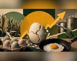 Egg Prices Scramble In Ethanol Corn-undrum: How E20 Fuel Affects Your Breakfast Budget