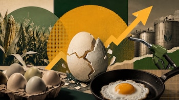 Egg Prices Scramble In Ethanol Corn-undrum: How E20 Fuel Policy Is Affecting Your Breakfast Budget