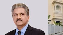 Anand Mahindra Explains How Old Udaipur Rivals Medieval European Towns