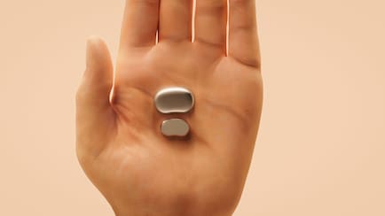 Deepinder Goyal Calls Temple 'Smallest Wearable': What The Device Does