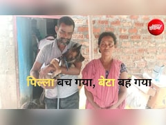 पिल्ले से 'भाई' जैसा प्यार, असम बाढ़ में बहने से बचाने के लिए मासूम बच्चा खुद उफनती नदी में बह गया