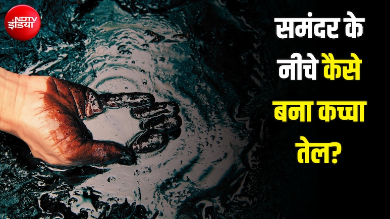 मरे हुए जीवों से कैसे बन गया कच्चा तेल? करोड़ों साल में हुई वो प्रोसेस, जिसने दुनिया को दिया 'ब्लैक गोल्ड'