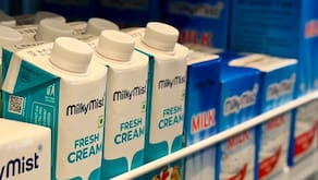 IPOs This Week: Milky Mist, Dhoot Transmission, Others To Hit Primary Market