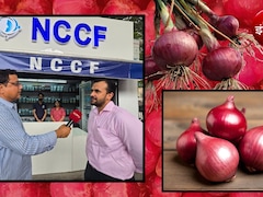 दिल्ली-NCR में 35 रुपये किलो वाला प्याज कब से और किसे कितना मिलेगा, NCCF चेयरमैन ने सबकुछ डिटेल में बताया| EXCLUSIVE