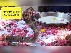 Nag Panchami Puja Vidhi: नाग पंचमी की पूजा कैसे करें, जानिए सही विधि और मुहूर्त