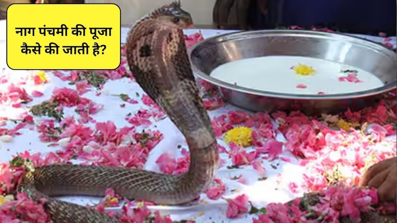 Nag Panchami Puja Vidhi: नाग पंचमी की पूजा कैसे करें, जानिए सही विधि और मुहूर्त