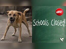 चमोली में पागल कुत्तों का आतंक; बच्चों पर हमले के डर से 3 दिन स्कूल बंद; ऑनलाइन पढ़ाई शुरू