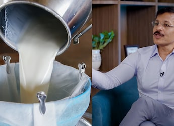 'Shampoo Is Used,' Tukaram Mundhe Reveals Shocking Reality Of Synthetic Milk