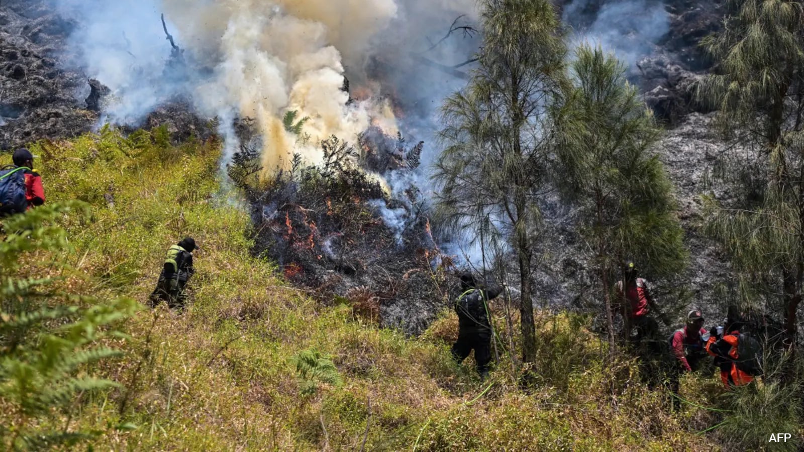 Indonesia Closes Bromo Tengger Semeru National Park Due to Wildfire