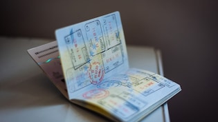 Uzbekistan Visa-Free Entry: Indians Can Stay 30 Days Without A Visa