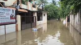 रीवा का गायत्री नगर बना 'टापू', 10 दिन से लोग घरों में कैद, सड़कें पानी में डूबी; नहीं मिल रहा जरूरत का सामान &nbsp;