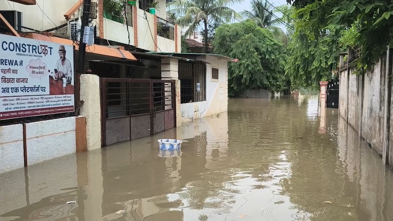 रीवा का गायत्री नगर बना 'टापू', 10 दिन से लोग घरों में कैद, सड़कें पानी में डूबी; नहीं मिल रहा जरूरत का सामान &nbsp;
