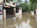 रीवा का गायत्री नगर बना 'टापू', 10 दिन से लोग घरों में कैद, सड़कें पानी में डूबी; नहीं मिल रहा जरूरत का सामान &nbsp;