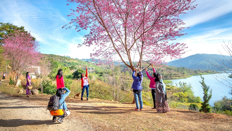 Want To Visit Meghalaya? Indian Railways Has A Special Tour Package For You