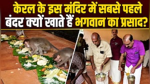 केरल के मंदिर में पहले बंदरों को परोसा जाता है, फिर श्रद्धालुओं को दिया जाता है प्रसाद