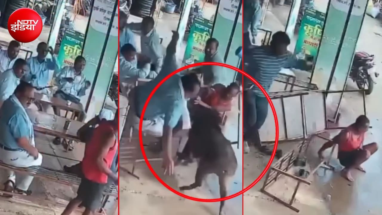 दुकान पर चाय की चुस्की के बीच रॉकेट रफ्तार से आया सूअर, सबको धड़ाम कर गया- Video
