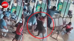 दुकान पर चाय की चुस्की के बीच रॉकेट रफ्तार से आया सूअर, सबको धड़ाम कर गया- Video