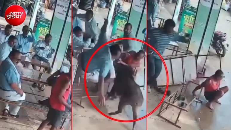 दुकान पर चाय की चुस्की के बीच रॉकेट रफ्तार से आया सूअर, सबको धड़ाम कर गया- Video