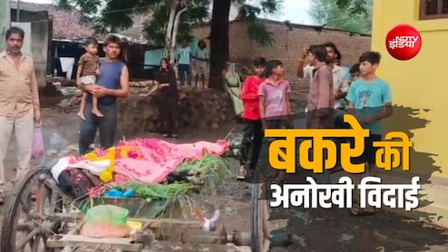 'मालण बाबा' बकरे की अंतिम यात्रा में रोए और नाचे भी ग्रामीण, बड़वानी में दी गई दिल छू लेने वाली विदाई