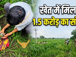 खेत में गड़ा मिला 1.5 करोड़ का सोना ! सिंधिया की शपथ के महीने भर बाद ही पारदी गिरोह का बड़ा कांड