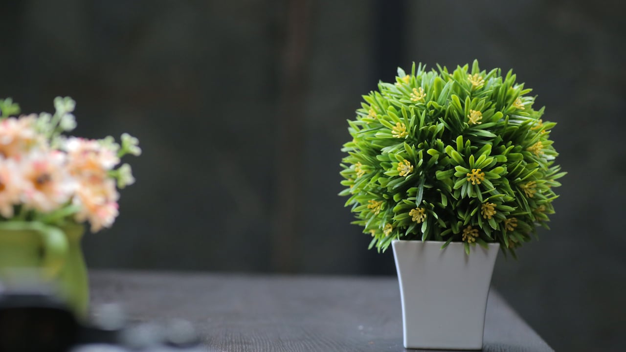 10 Easy Ways To Keep Artificial Plants Clean And Dust-Free